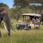 11-Day Tanzania Safari and Spice Island Holiday