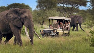 11-Day Tanzania Safari and Spice Island Holiday