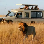 12-Day East Africa Signature Journey
