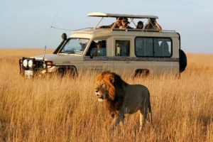 12-Day East Africa Signature Journey