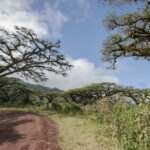 Ngorongoro Crater Conservation Area Safari – Tanzania’s Natural Wonder