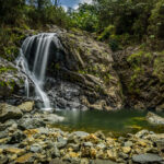 Is Nyungwe Worth Traveling To? – Discover Rwanda’s Pristine Rainforest Paradise