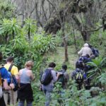 Is Uganda Safe and Politically Stable for Safaris?