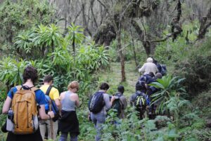 Is Uganda Safe and Politically Stable for Safaris?