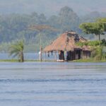 Why Tour Uganda & Best Activities for 2025 – Discover the Pearl of Africa