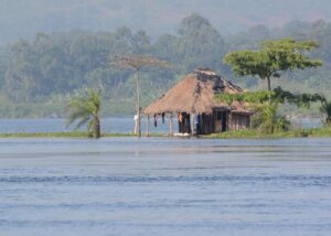 Why Tour Uganda & Best Activities for 2025 – Discover the Pearl of Africa