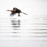 Akagera National Park – Rwanda’s Remarkable Savannah Wilderness