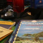 Is a Safari Cheaper in Kenya or Tanzania?