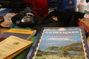 Is a Safari Cheaper in Kenya or Tanzania?