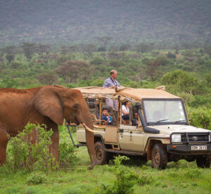 Game Drive Safaris in Uganda