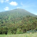 Mount Elgon National Park Tour Activities – Explore Uganda’s Hidden Mountain Paradise