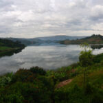 Major Attractions to See in Uganda While on Safari – Discover the Pearl of Africa