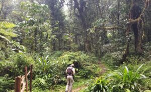 Buhoma Sector in Bwindi Impenetrable National Park