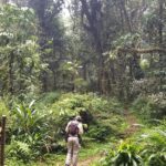 Explore Uganda 2025 – Visit the Pearl of Africa on Unique Safaris
