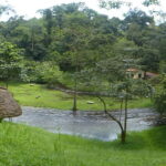 Why It Isn’t Recommended to Visit Uganda in the Rainy Season