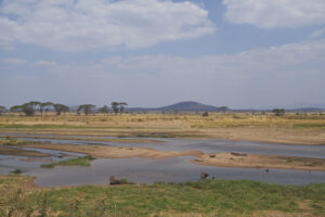 Best of Tanzania Safaris