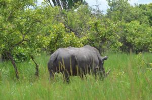 49287128998_4aa3015a3b_b