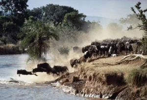 5-Day Kenya–Tanzania Migration Adventure