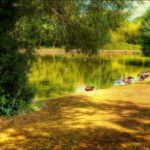 Nairobi National Park