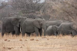 5050852634_bd26c015c5_b