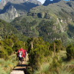 Hiking Mount Elgon in Uganda