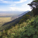 Ngorongoro Conservation Area – Tanzania’s Eden of Wildlife and Heritage