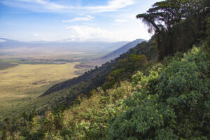 Ngorongoro Conservation Area – Tanzania’s Eden of Wildlife and Heritage