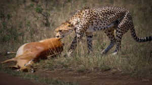 53378567224_b12f7d8ed6_c