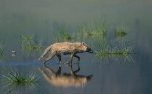 5460515318_93535376cd_c