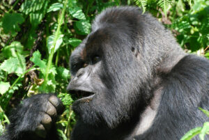 6031260009_73b2fe2ff2_b