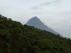 The Five Volcano Mountains in Rwanda