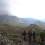 Hiking Rwenzori Mountains – The Legendary Mountains of the Moon