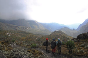 Hiking Rwenzori Mountains – The Legendary Mountains of the Moon