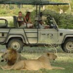 A Luxury Safari in Tanzania’s Southern Parks