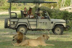 A Luxury Safari in Tanzania’s Southern Parks