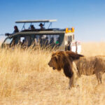 African Safari Quotes to Inspire Your Next Journey