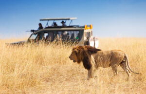 African Safari Quotes to Inspire Your Next Journey