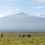Amboseli National Park
