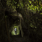 Buhanga Eco Park in Rwanda | A Sacred Forest of Kings and Nature