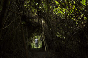 Buhanga Eco Park in Rwanda | A Sacred Forest of Kings and Nature