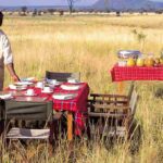 Bush Breakfasts and Sundowners: The Safari Lifestyle