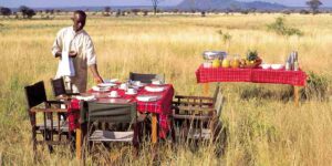 Bush Breakfasts and Sundowners: The Safari Lifestyle
