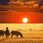 Capturing Africa’s Golden Hour: Photography Secrets
