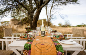 Champagne in the Savannah: The Luxury Safari Trend