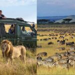 Creating a Visual Journal of Your Safari