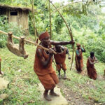 Discover Uganda’s Cultural Heritage Through the Batwa Trail