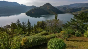 Breathtaking Rolling Hills of Rwanda on an Unforgettable Adventure