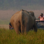 Underrated Eco-Tourism Destinations in Africa | Hidden Gems for Responsible Travelers