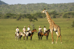Exploring Kenya’s Untamed Wilderness on Horseback