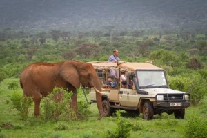 Exploring Samburu: Kenya’s Wild Northern Frontier